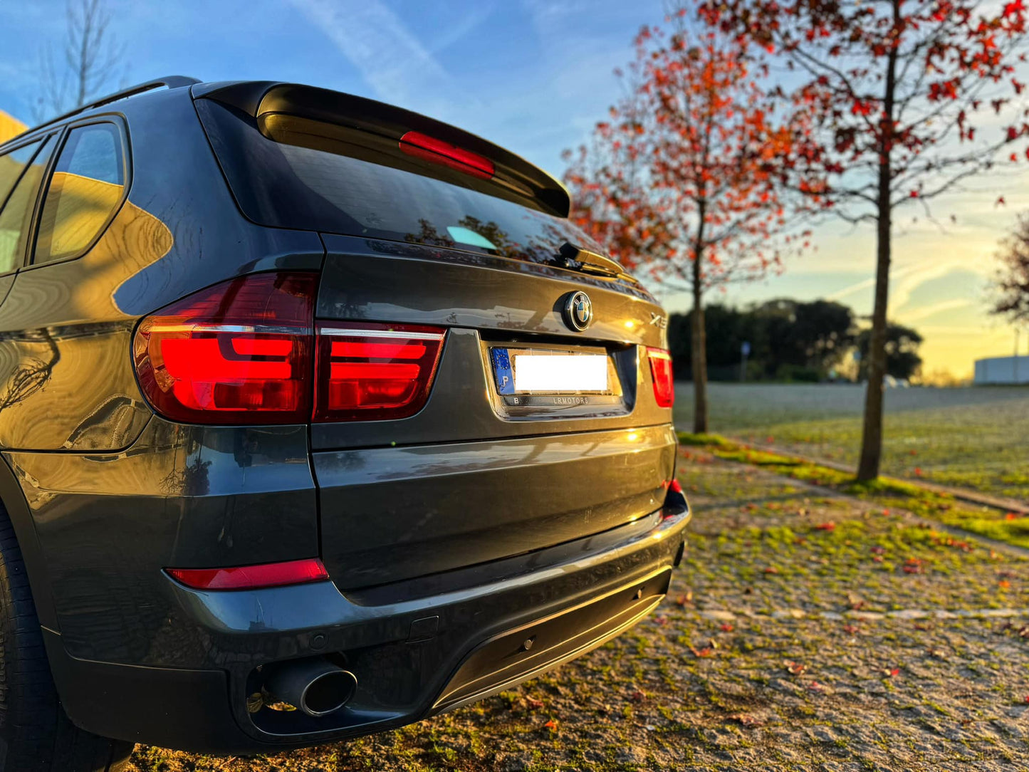 BMW X5 3.0d 245cv xDrive 7 Lugares