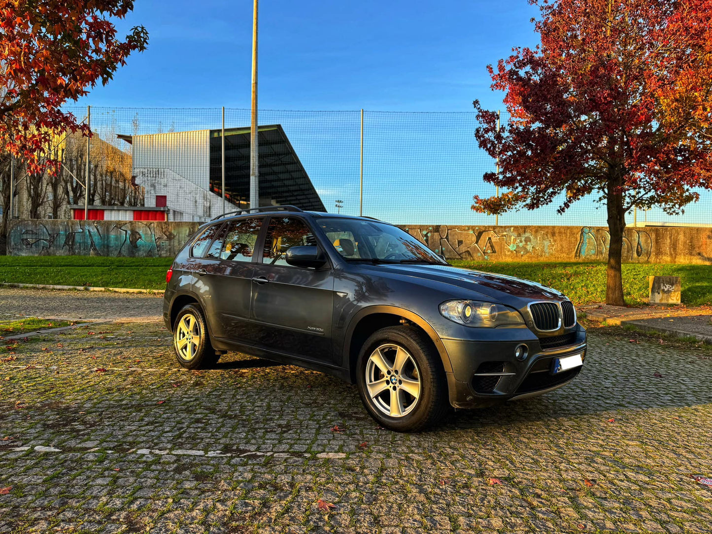 BMW X5 3.0d 245cv xDrive 7 Lugares