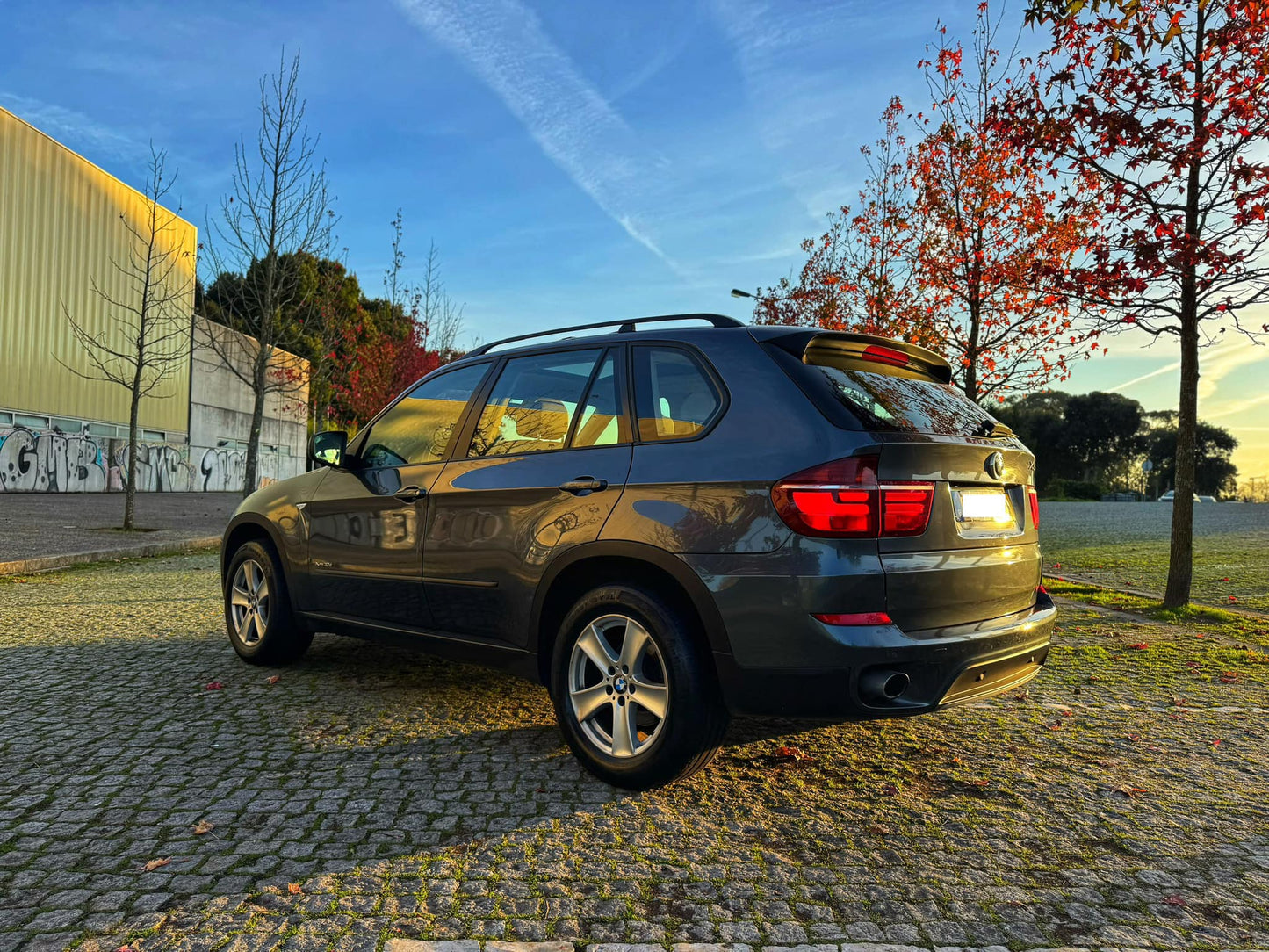 BMW X5 3.0d 245cv xDrive 7 Lugares