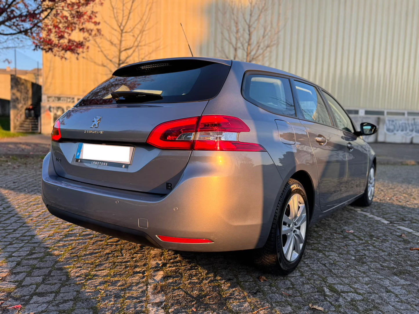 Peugeot 308 SW 1.6 HDI 120cv Active