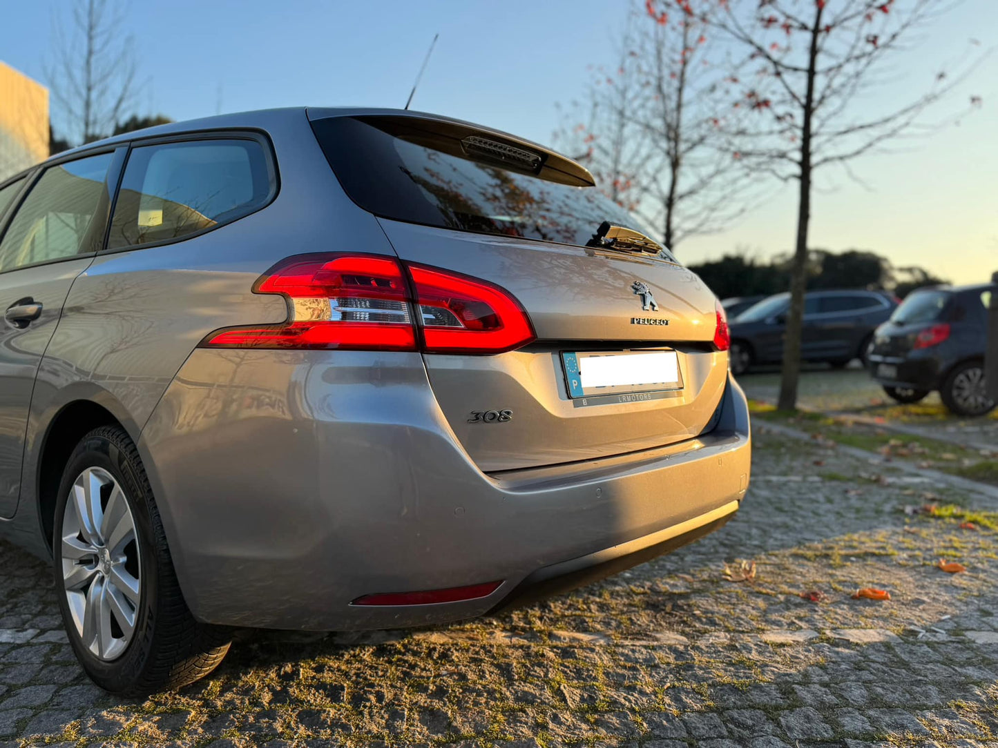 Peugeot 308 SW 1.6 HDI 120cv Active