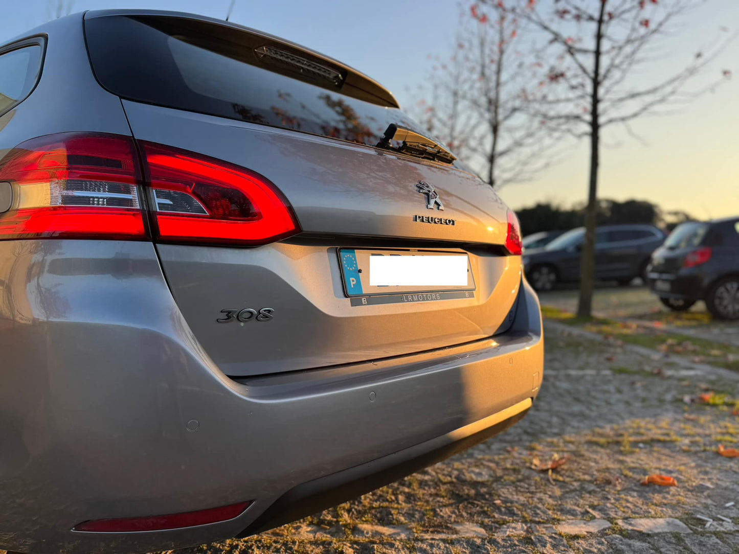 Peugeot 308 SW 1.6 HDI 120cv Active