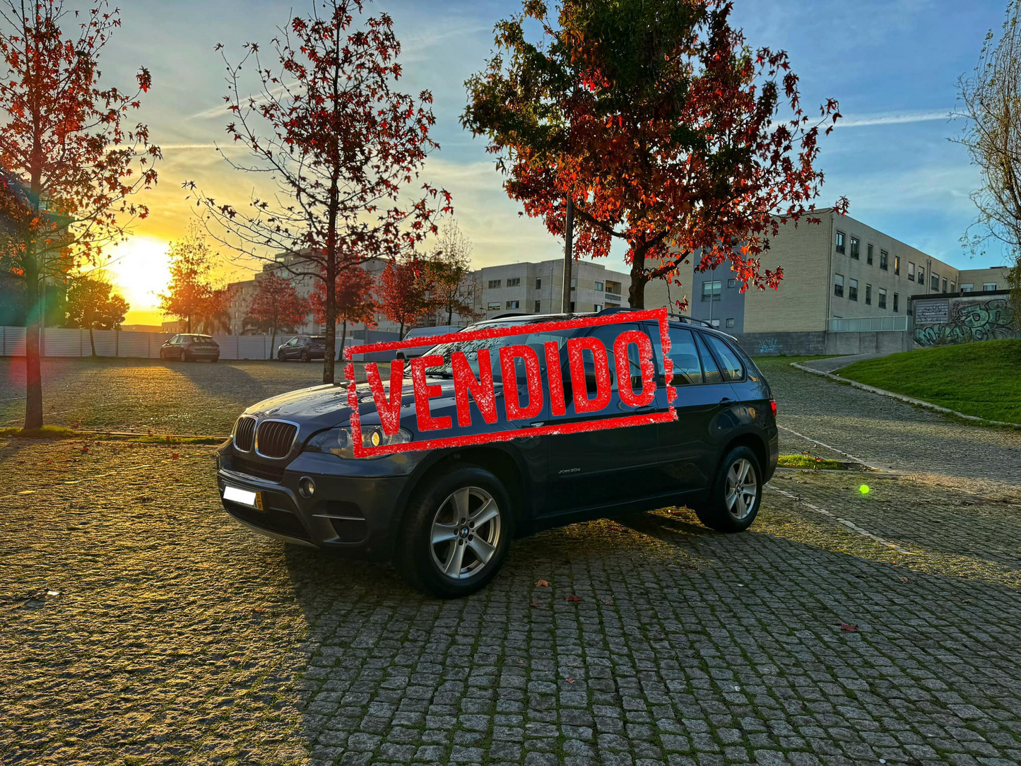 BMW X5 3.0d 245cv xDrive 7 Lugares