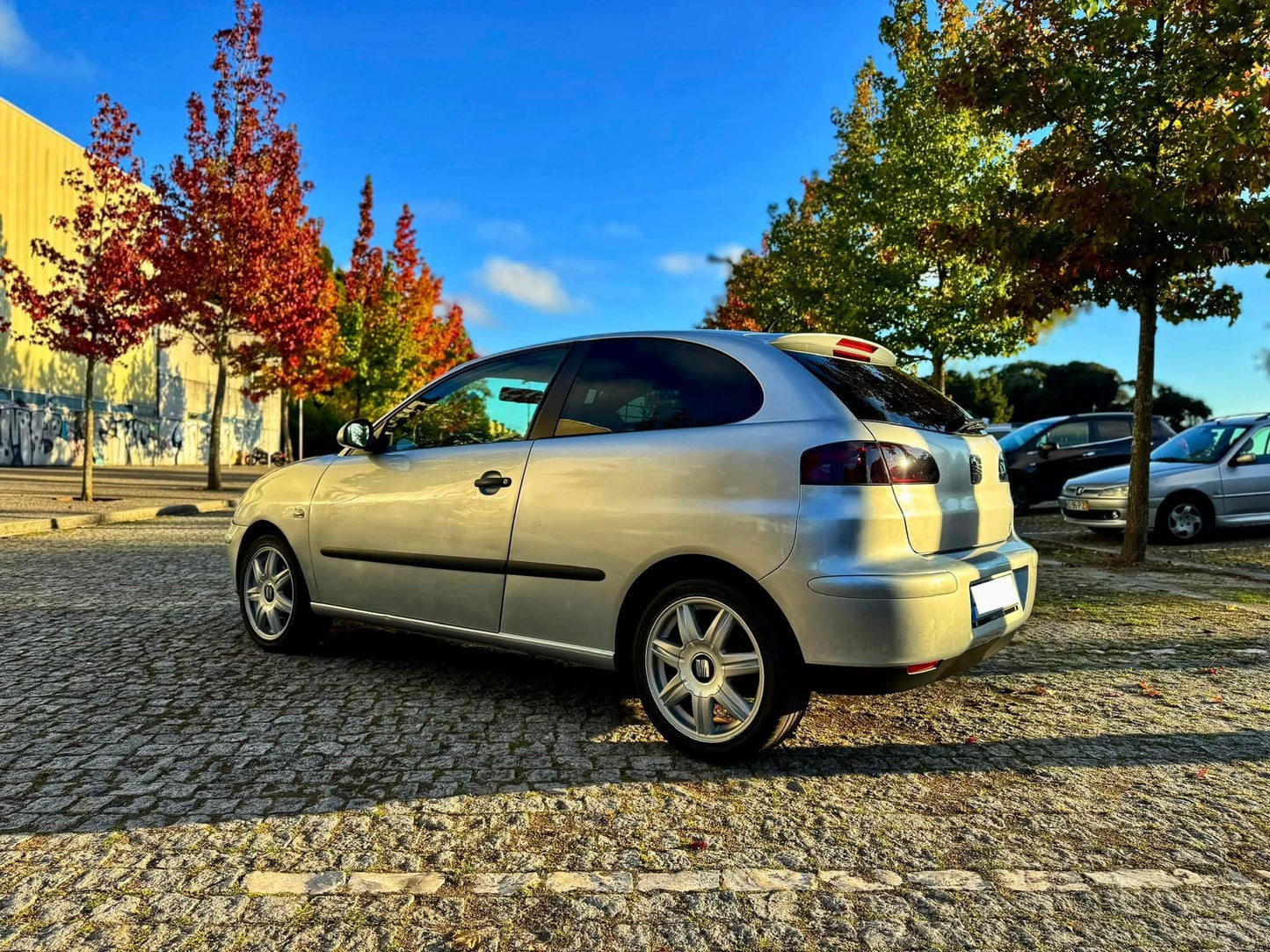 Seat Ibiza 1.4 TDI Sport Van