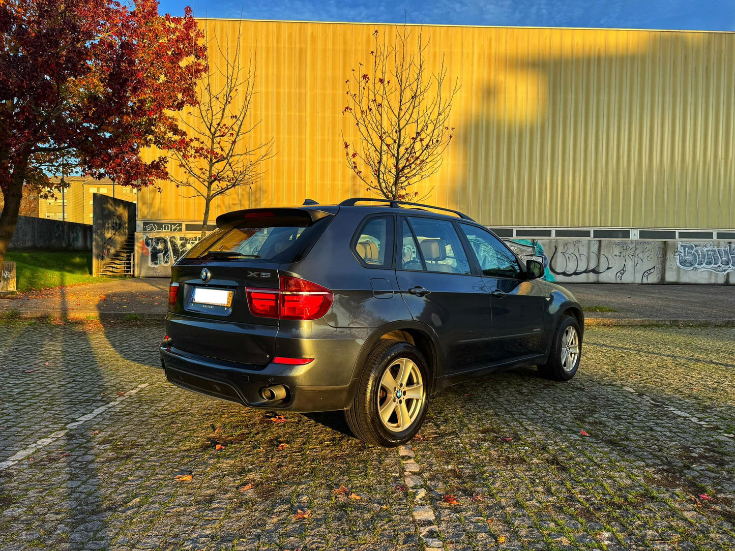 BMW X5 3.0d 245cv xDrive 7 Lugares